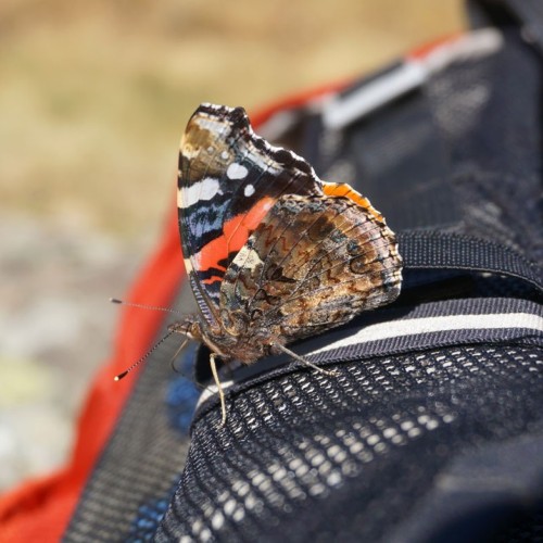 Семейный треккинг в Дигории с размещением в гостинице