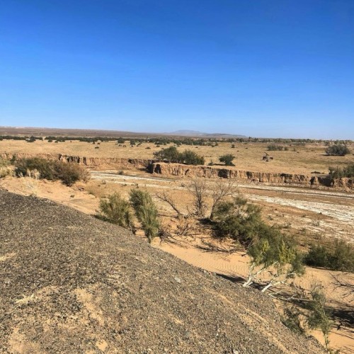 От пустыни до оазисов: большое путешествие по Монголии и Улан-Удэ