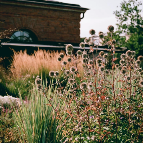 Новая Голландия: история, мифы, скрытые детали