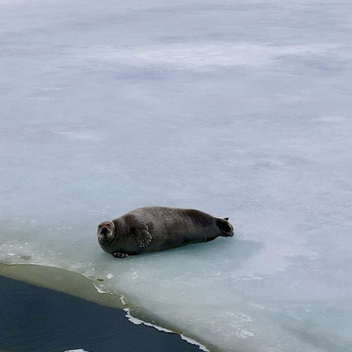Индивидуальный джип-выезд по Терскому берегу в формате «всё включено»