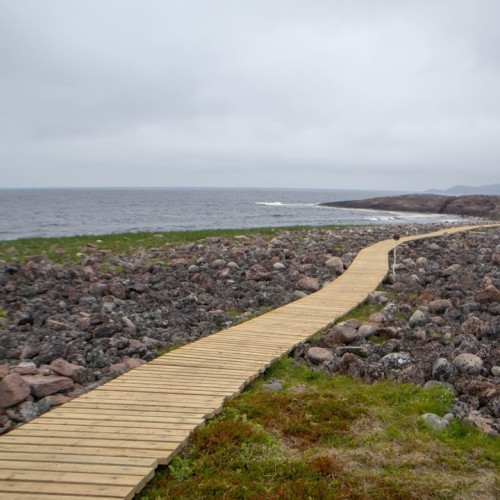 Северный экспресс-тур в мини-группе: Мурманск, Териберка и дополнительные активности на выбор