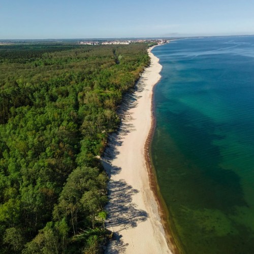 Куршская коса вдоль и поперёк