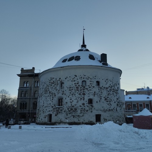 Выборг в век Петра I