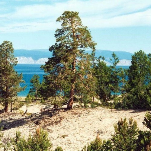 Три дня на Байкале: остров Ольхон и Малое Море только для вашей компании