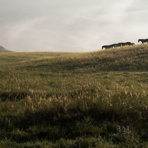 Комфорт-тур на Алтай с фотографом: полёт на вертолёте, парение и главные места (всё включено)