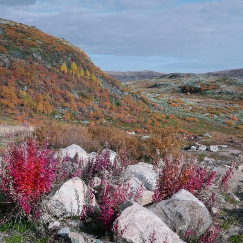 Главные места Кольского полуострова: Мурманск и Териберка