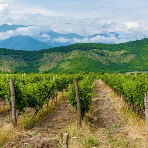 Неделя в окружении гор: башни Ингушетии, тёплая атмосфера Грузии и уют Владикавказа