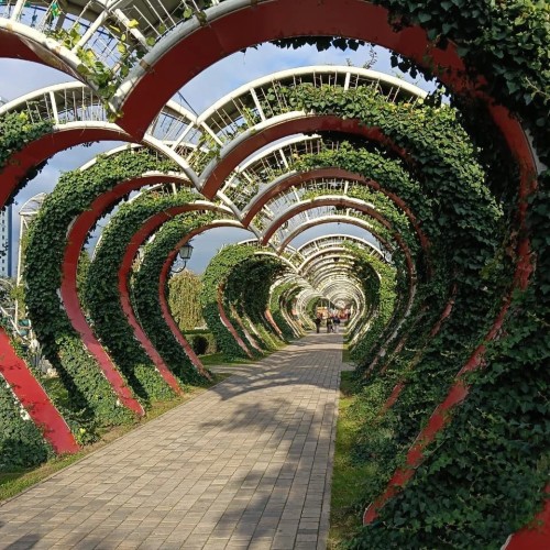 Насыщенные выходные в Чечне в формате «всё включено»