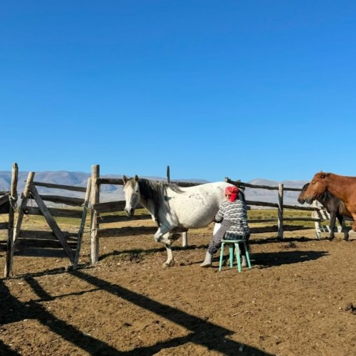Комфорт-тур на Алтай с фотографом: полёт на вертолёте, парение и главные места (всё включено)