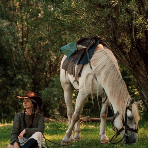 Бороздим просторы Алтая верхом: активный тур для опытных всадников с фотосъёмкой