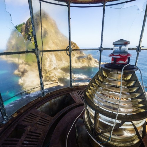 За деликатесами и к сивучам на Сахалин