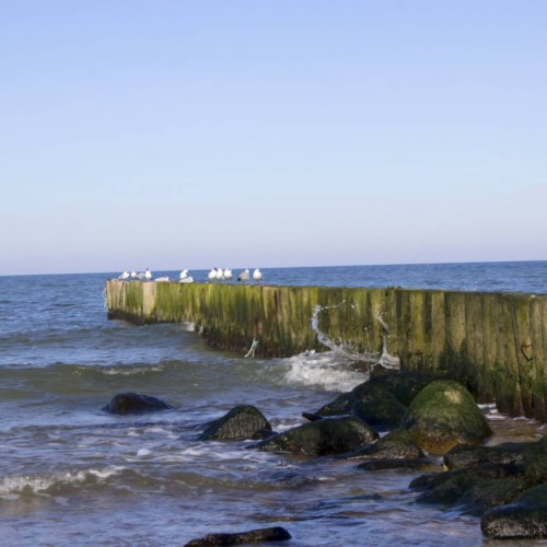 Ваше персональное путешествие во времени: Калининград, курорты, замки