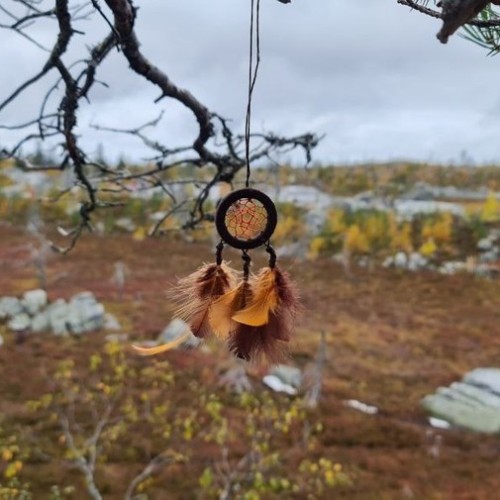 Детокс в Карелии: место силы, дары леса и походная романтика (всё включено)