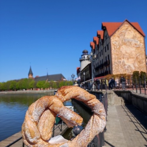 На майские в город кошек: выходные в Зеленоградске с прогулкой по Калининграду и Кушской косе