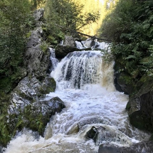 Алтай: топовые места и скрытые уголки