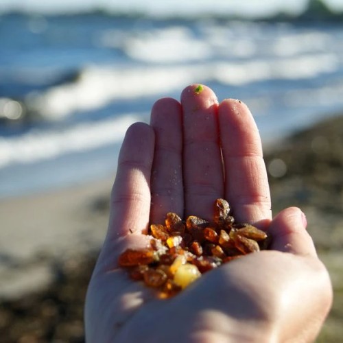 Калининградский микс: индивидуальное экспресс-путешествие