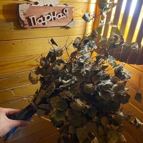 На Алтай из Новосибирска в мини-группе с проживанием в экодоме: топовые места и фермы