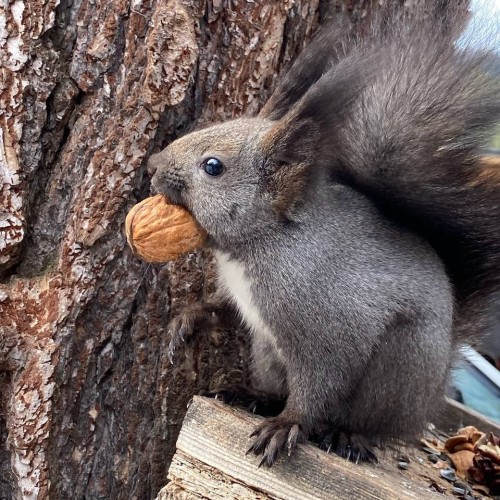 Край разноцветных озёр: треккинг налегке в Архызе с проживанием в палатках