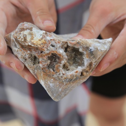 Течёт река Волга: лёгкий сплав на байдарках (всё включено)