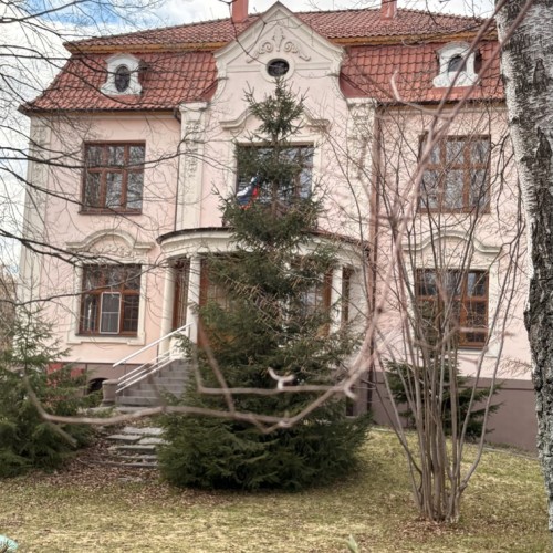 От вилл Амалиенау — в антикварную лавку: мастер-класс по работе со старинными предметами