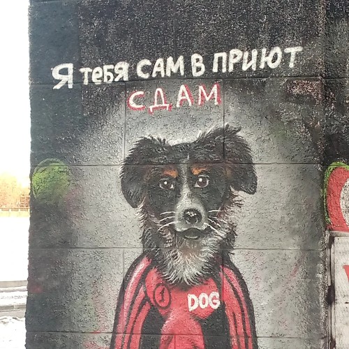 Уличное искусство Екатеринбурга: от истоков к современности