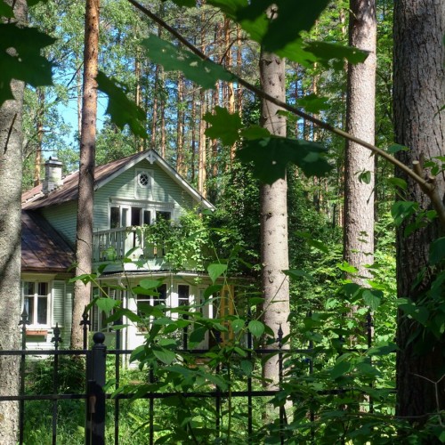 Комарово: аудиопрогулка по Лесной стороне