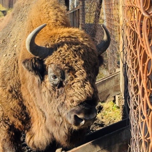 Ретрит для женщин в Уймонской долине: духовные практики и экскурсии в мини-группе