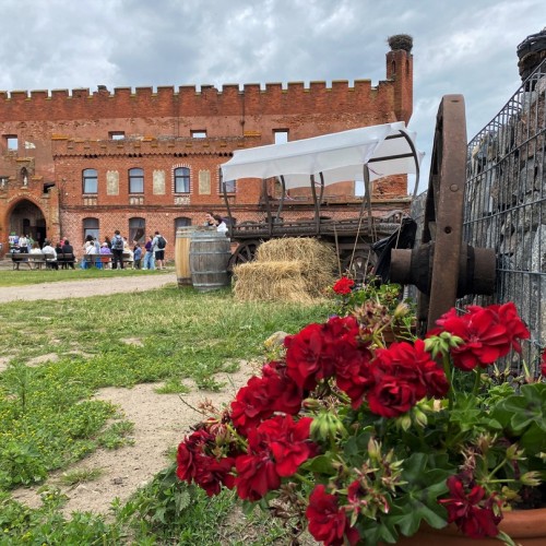 Замки, море и хомлины — лучшие места Калининградской области и дегустация на семейной сыроварне
