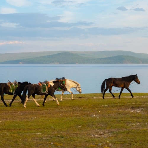 В Монголию в гости к «младшему брату Байкала» из Иркутска: окрестности Хубсугула