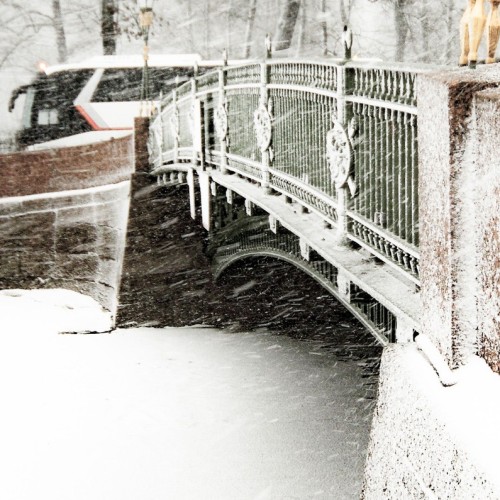 Фантастические твари и где они обитают в Санкт-Петербурге