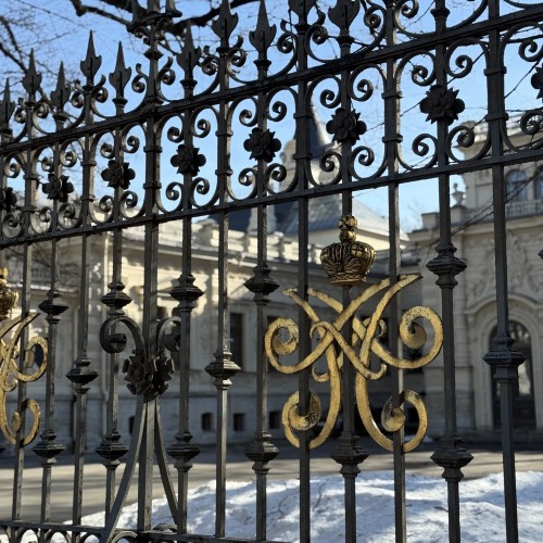 Балетные романы Романовых