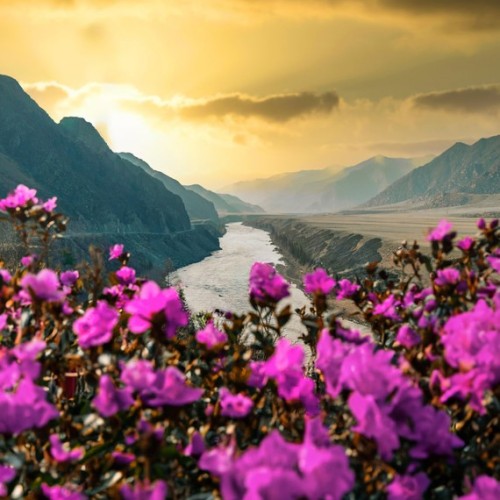 Цветущий май — пора на Алтай: Марс и перевалы, водопад Куркуре, Гейзерное озеро и загадочные курганы