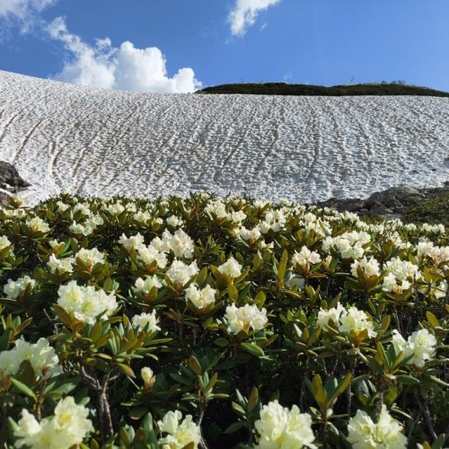 Край разноцветных озёр: треккинг налегке в Архызе с проживанием в палатках