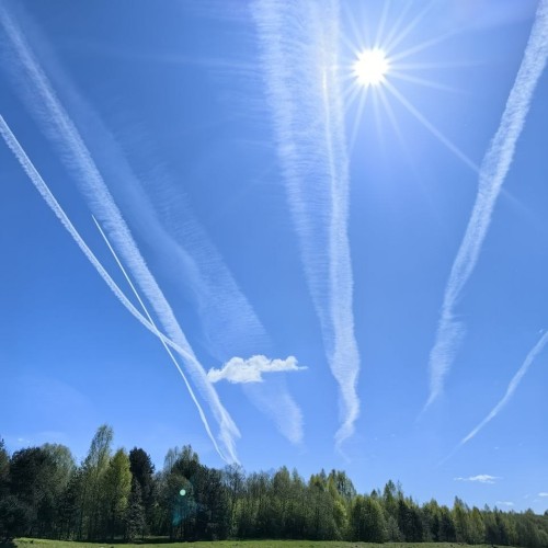 Сплав на байдарках по реке Осуге (всё включено)