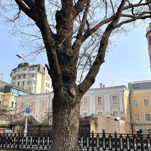 Пушкинская Москва