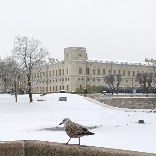 Последний рыцарь Европы: Гатчина Павла I