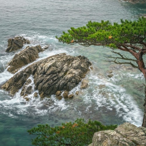 Гастрономическое путешествие в русский Сан-Франциско