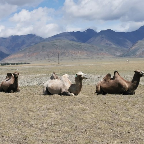 По знаковым местам Чуйского тракта в мини-группе