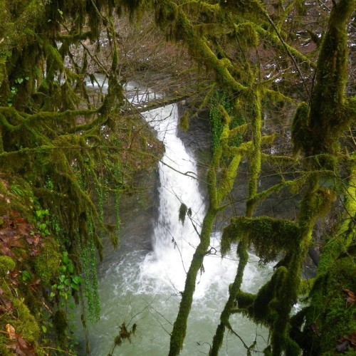 Большой тур по Сочи: природа, архитектура, история