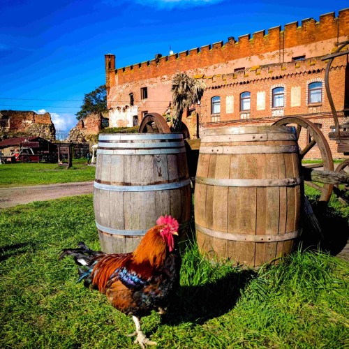 Балтийский берег: Калининград, Куршская коса и очарование курортов