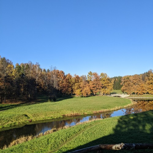 Детская экскурсия по Павловскому парку «Обитель муз»