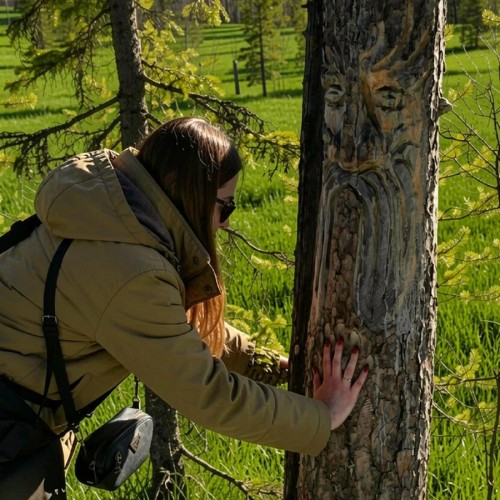Квест-экскурсия «Дремучий лес»