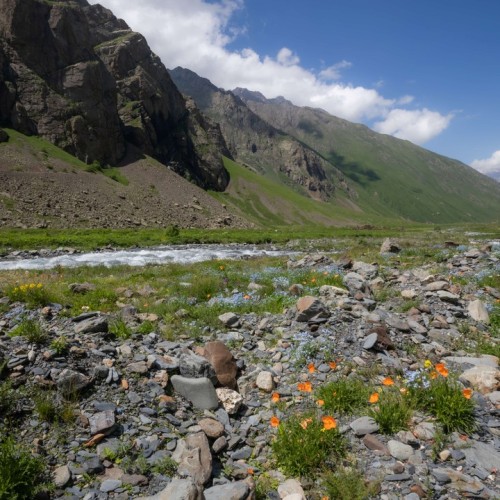 На джипах по заповедным местам Северной Осетии