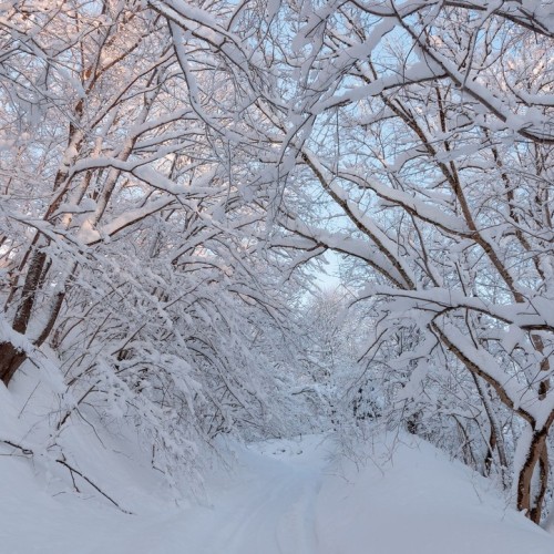 В мини-группе на Камчатку всей семьёй: вулканы, термальные источники и погружение в быт