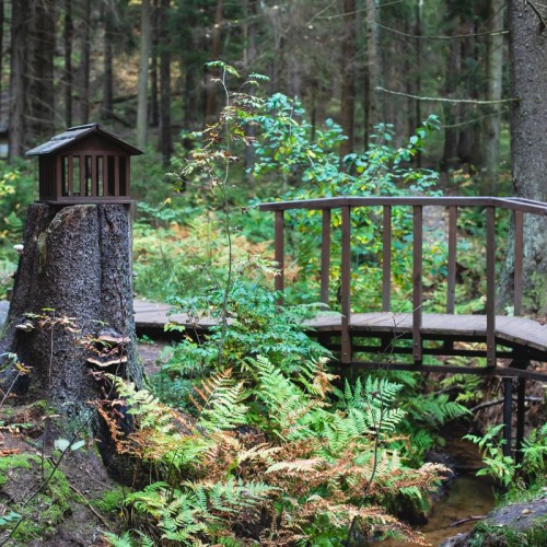 Большая прогулка по Комарово