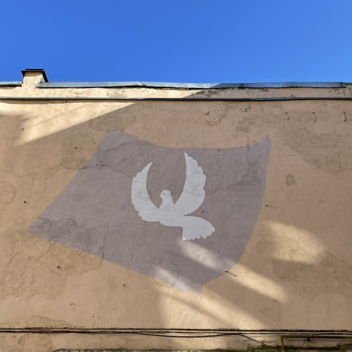 Остров мельника Матиса — в Петербурге