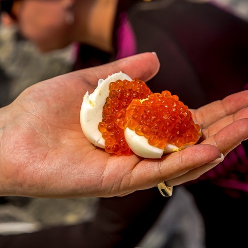 Гранд-тур по островам Дальнего Востока: Сахалин, Итуруп, Кунашир и Шикотан, термы и гастрономия