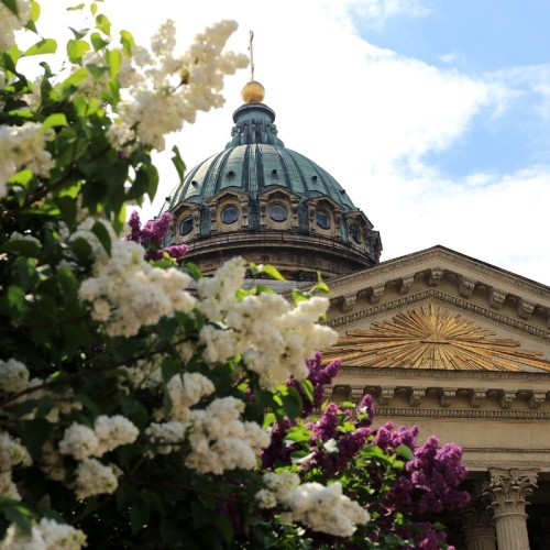 Весь Петербург за 2 часа на велосипедах