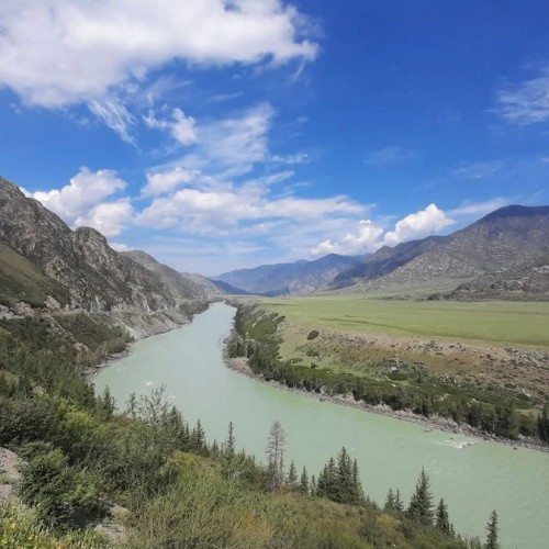 Нескучный Чуйский