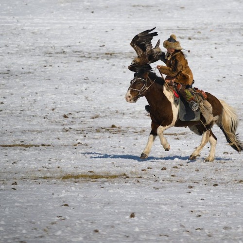 Из Алтая, по Чуйскому тракту — в Монголию на фестиваль беркутчи с проживанием в юрте